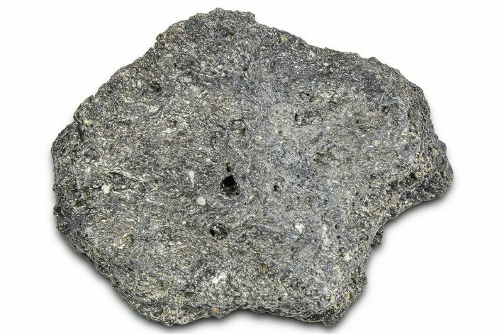Fossil Glyptodont (Glyptotherium) Bony Armor Osteoderm - Florida #362337